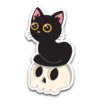 Set complet : Chat noir